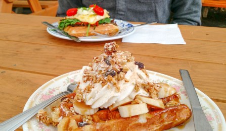 IMG_20150404_112430789